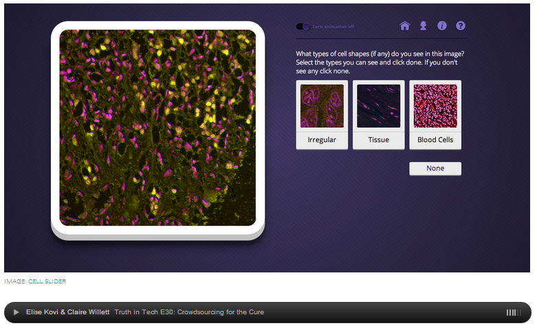 Truth in Tech E30- Crowdsourcing a Cure for Cancer — Skimbox