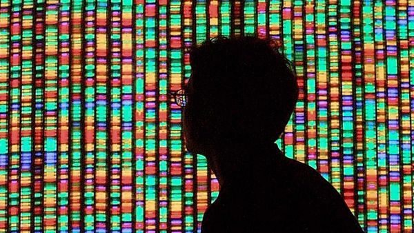 Human Genome